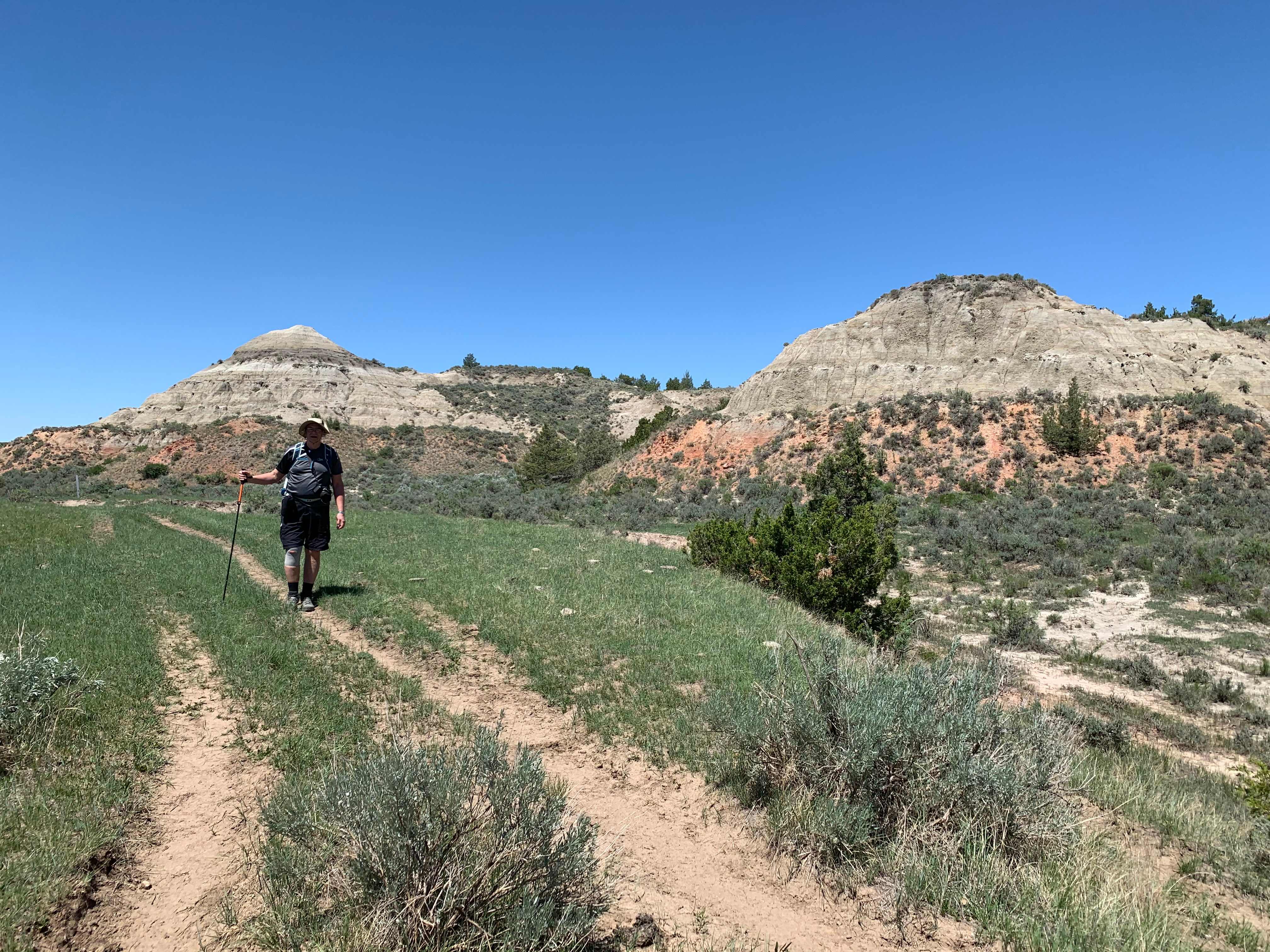 Theodore Roosevelt NP